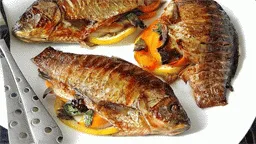 Риба на вогні